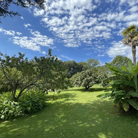 Du Bosc * Lys (Pyrenees-Atlantiques)